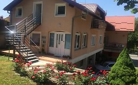 Studioapartmani Jedvaj